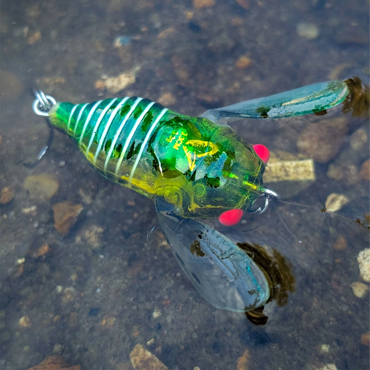 cicadas fishing lures Reef Runner Tungsten Description Reef Runner lures has created the Tungsten Cicada which is designed so that fish would swarm all over it with its unique bug Cicada Fly Six Pack