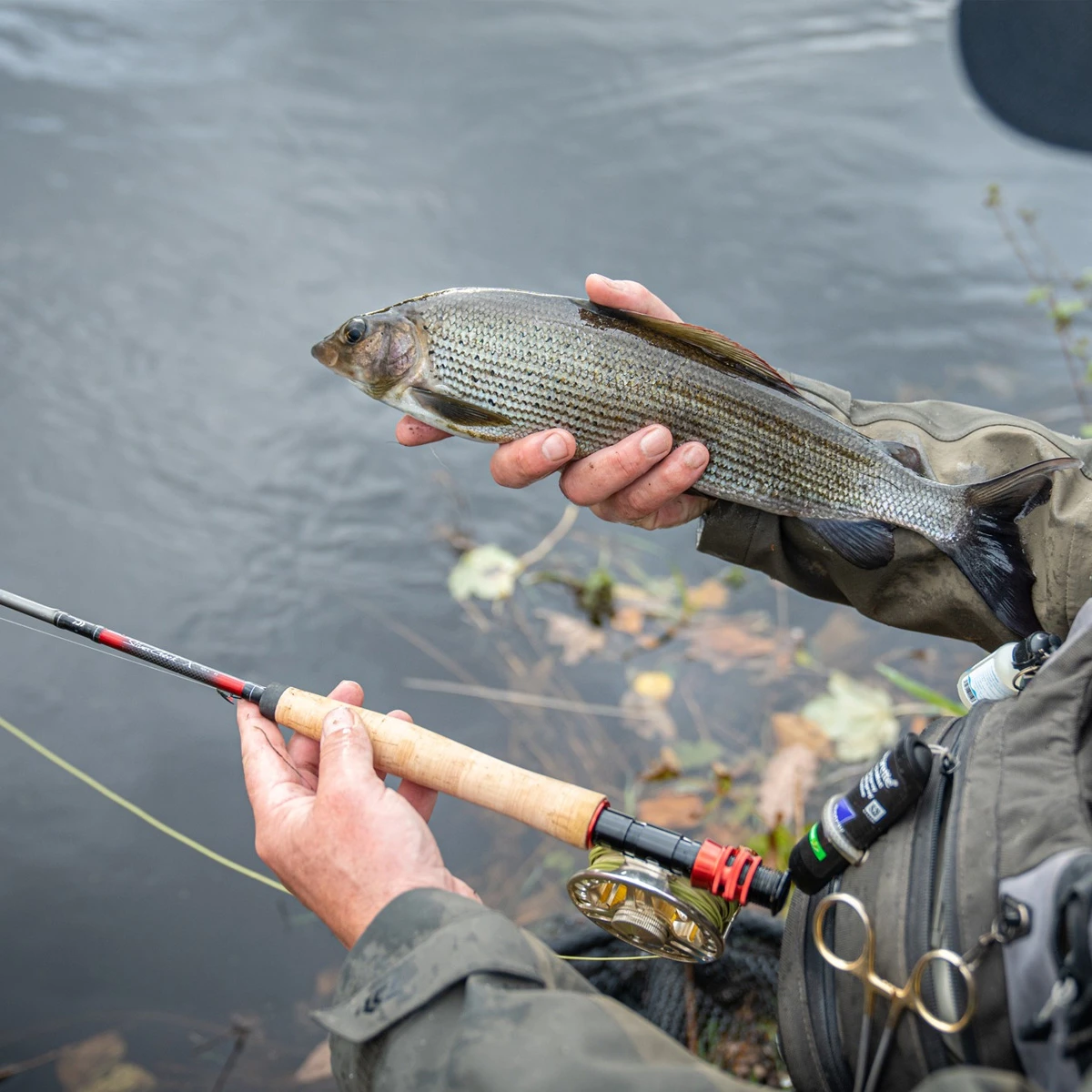 Daiwa Silvercreek X Trout Fly Rods - £79.99