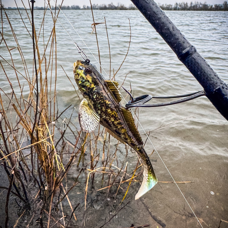 Westin Gunnar The Goby R2F 8cm #1/0 9g Sinking Black Mouth 1pcs - Foto 7