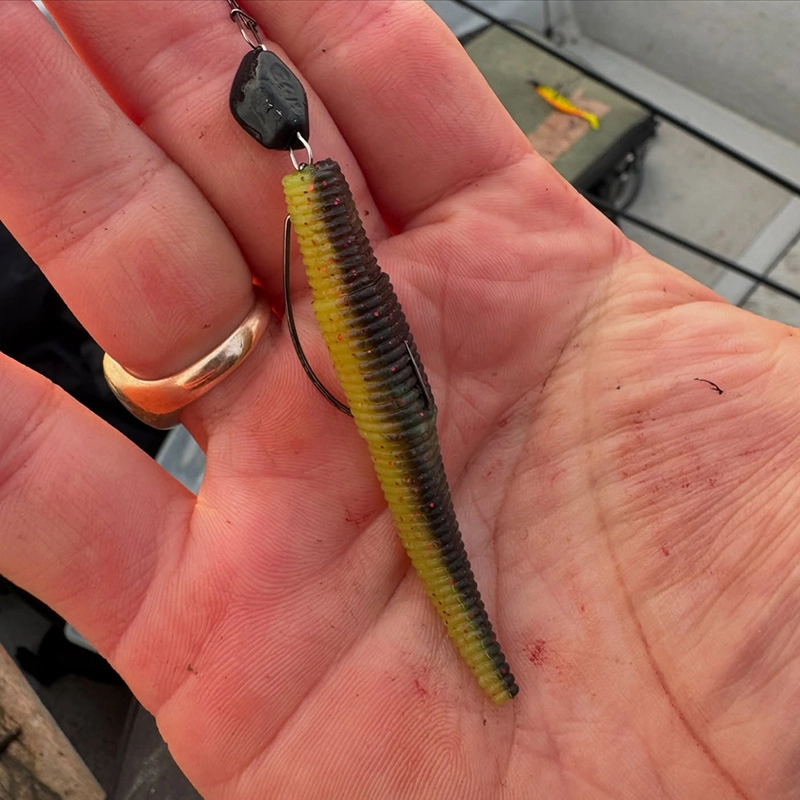 Ned Rig : Montage, Leurres Et Astuces Pour Pêcher Mieux