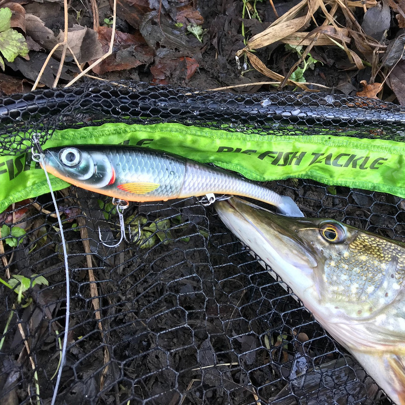 Rapala X-Rap Peto 14cm/39g - £16.49