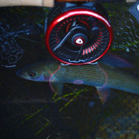 Greys Tail Fly Reels