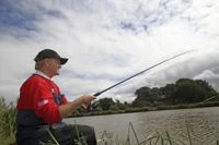 shimano 2019 stella sw Amazon.com : Shimano Reel 19 Stella SW 14000XG Japan Import : Sports &  Outdoors