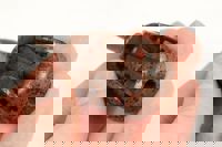 Korum Dura Method Feeders