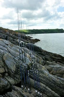 Shakespeare Agility Sea Spin 9ft