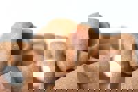 Enterprise Imitation Dog Biscuit Counter Balanced