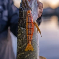 Korda Zigs