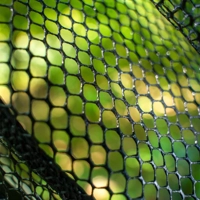 Zebco Latex Fast Net Tele 2m 50cm