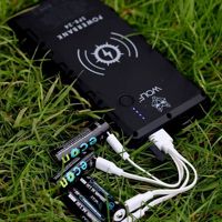 Wolf Econ Batteries
