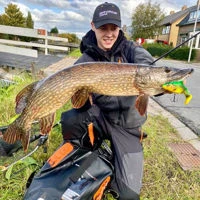 Savage Gear 4D Rattle Trout