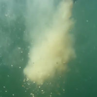 DNA Baits Cloudy Spod Mix