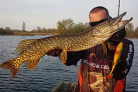 Savage Gear 4D Line Thru Perch Shad 20cm