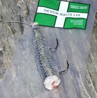 Devon Baits Frozen Mini Mackerel