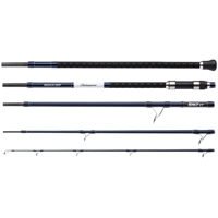 Shakespeare Salt XT Expedition Beach 11ft 6in 
