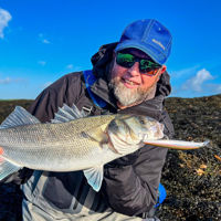 Shimano Exsence Silent Assassin 129F AR-C Lures 12.9cm/29g