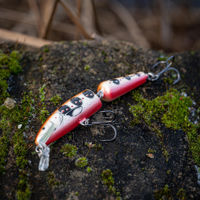 Salmo Fanatic Floating Lures 7cm
