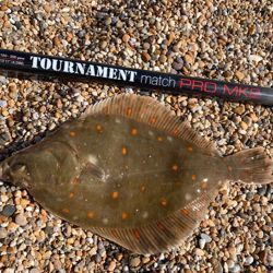 Anyfish Anywhere Tournament Match Pro MK2 Rod 13.11ft