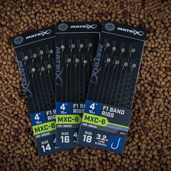 Matrix MXC-6 Barbless 10cm F1 Band Rigs
