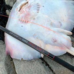 Anyfish Anywhere Bass Pro Rod 12.6ft
