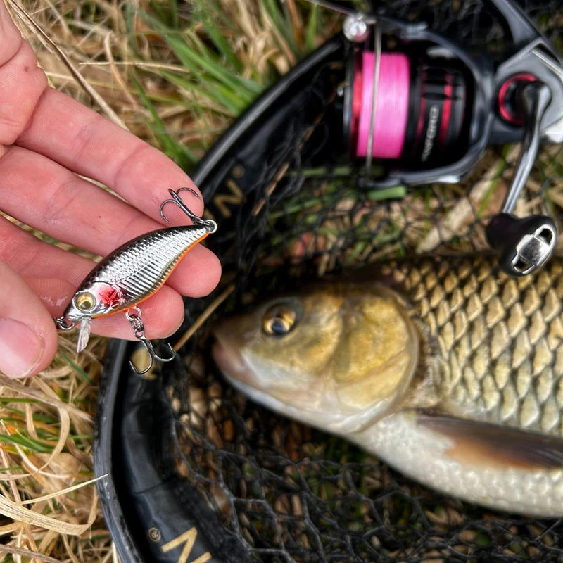 WESTIN BuzzBite DR Crankbait 6,5cm 14g Steel Sardine | Tackle