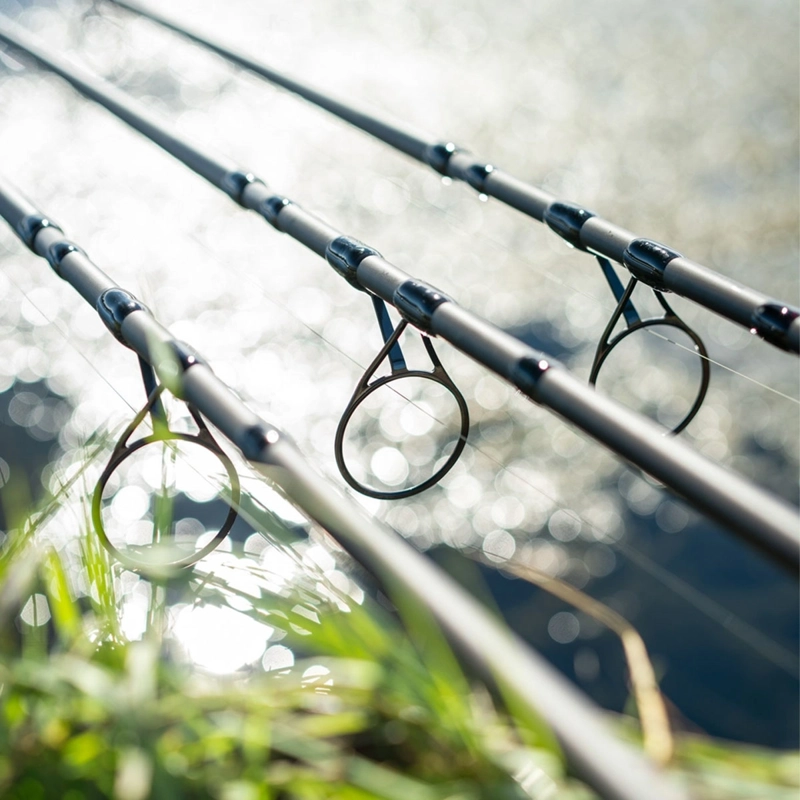 Daiwa Black Widow + Carp Rods