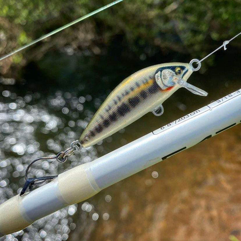 Rapala countdown classic rod