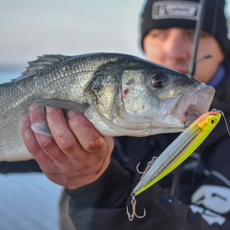 Matita Di Precisione Xtreme Di RAPALA In Acqua Salata 10,7cm 21g Clown