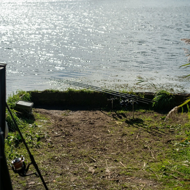 Daiwa Black Widow + Carp Rods