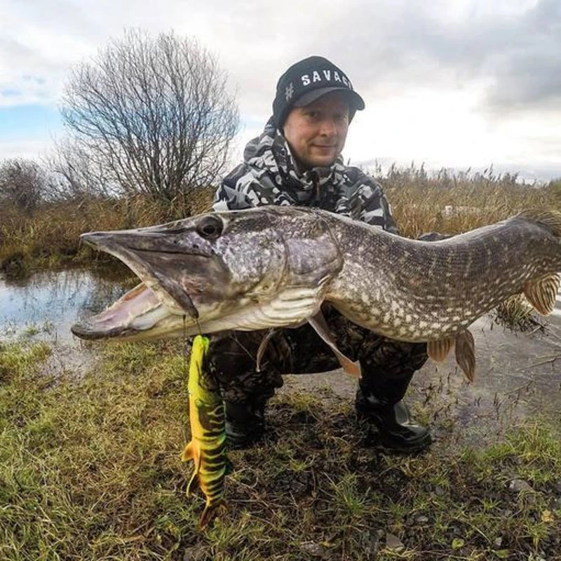 Köder Savage Gear 4D Line Thru Pike