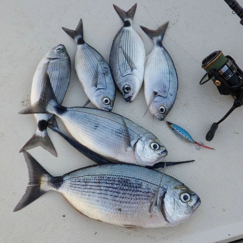 Savage Gear Micro Skipper Lures